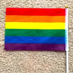 LGBTQ flag mini